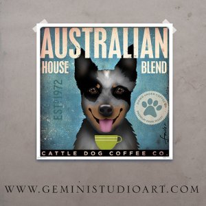 blueheeler2