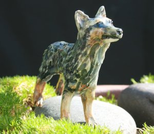 blueheeler4