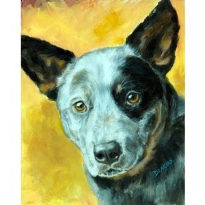 blueheeler5