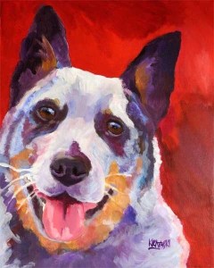 blueheeler6