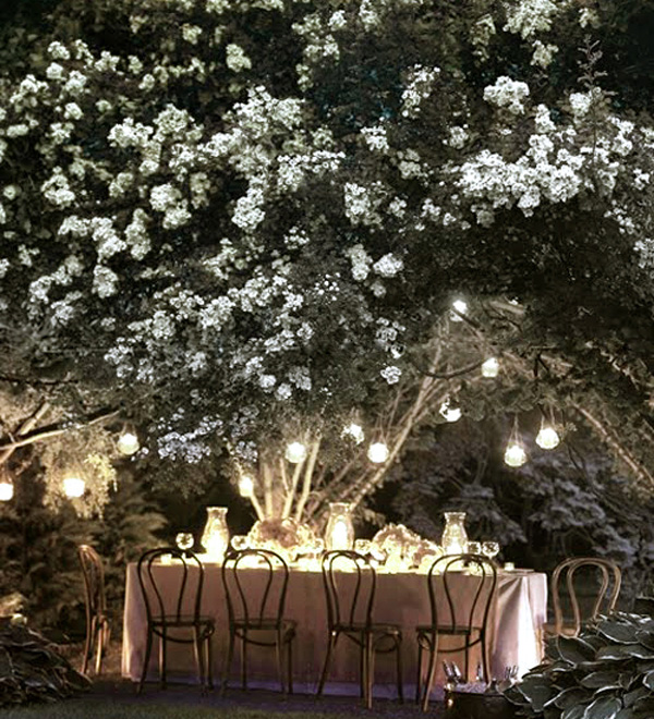 A moon garden is comprised primarily of white and pale flowers that bloom at night. When the moon shines bright overhead it looks like there are lights on in the garden.   Photo courtesy of econesting.com