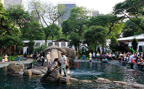 The Central Park Zoo 