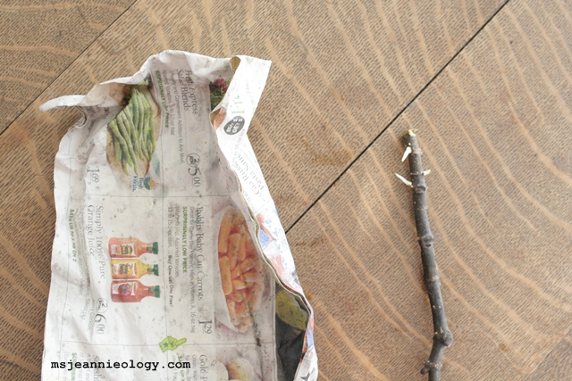 Fig clipping sprouts as they looked on March 9, 2013.