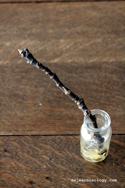 On top it still looks exactly the same but...