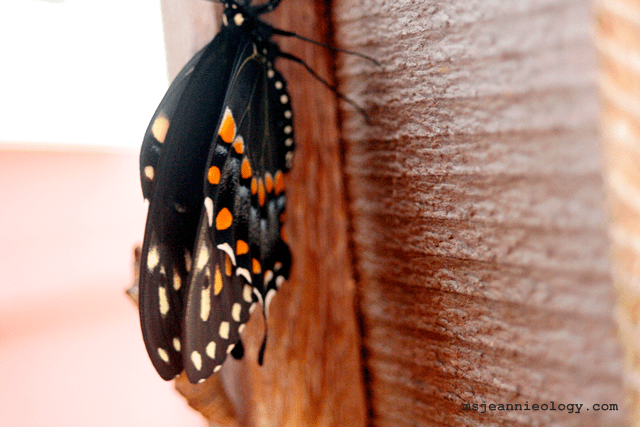 Friday's on a mission.