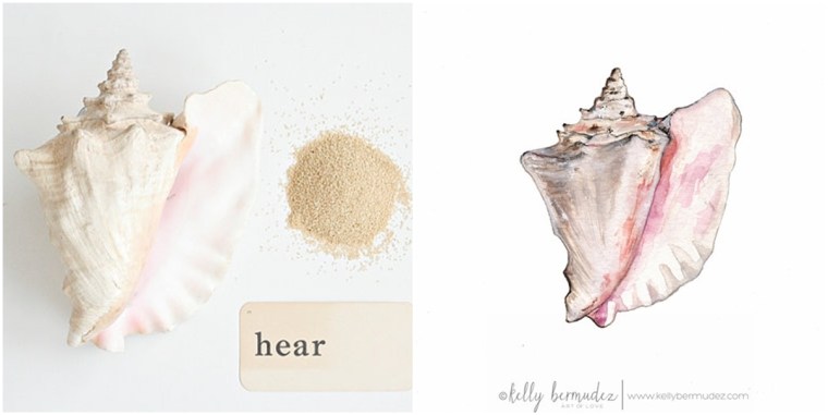 A queen conch shell in two mediums!