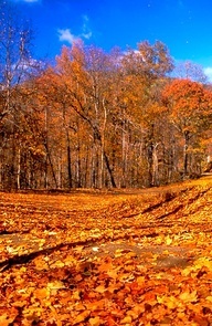 Photo via pinterest.