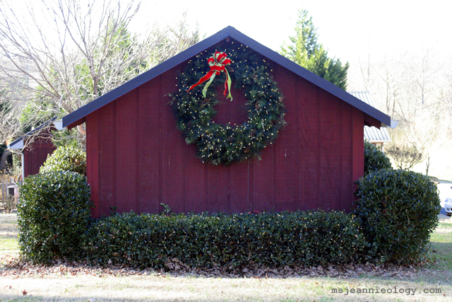 Decorations for Christmas went up on the coldest day of the year - very festive!