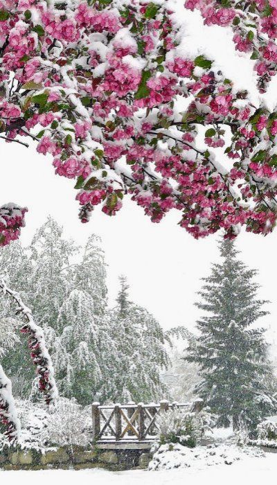 It may not be the historic streets of Paris but, as the seasons kiss in Calgary, you can sense just as much romance in the landscape! Photo via pinterest