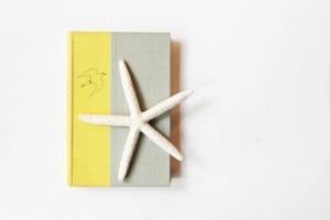 Nature's Year: The Season's of Cape Cod by John Hay 