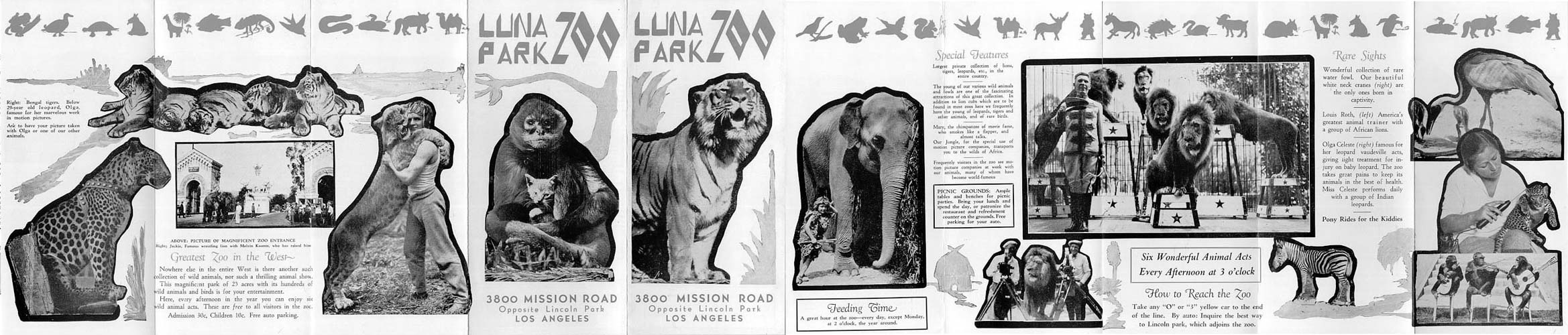The 1920's Luna Park Zoo brochure which features Olga on the very far right. Brochure photograph courtesy of lincolnheightsla.com 