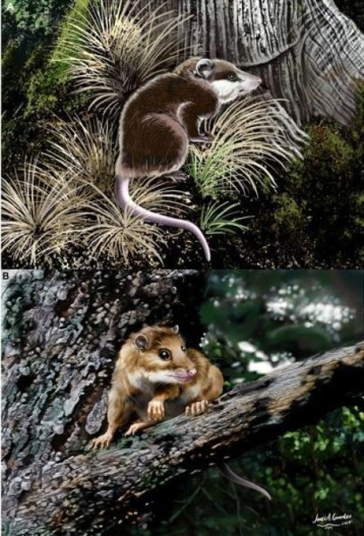 Illustration courtesy of Science Daily