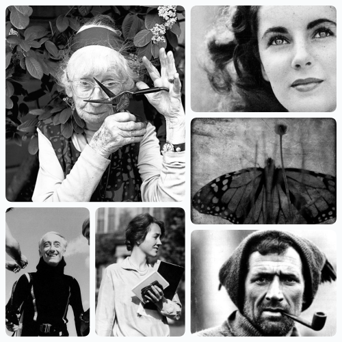 A partal list of true adventurers. Clockwise from top left: Photographer Imogen Cunningham, Elizabeth Taylor, Monarch Butterfly, Explorer Tom Crean, Aviator Anne Morrow Lindbergh and Explorer Jacques Cousteau. To visit Ms. Jeannie's board and see all the adventurers click the photo. 