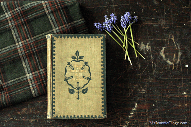 Beside the Bonnie Brier Bush by Ian Maclaren