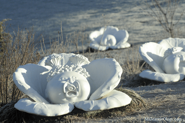 babyland general hospital