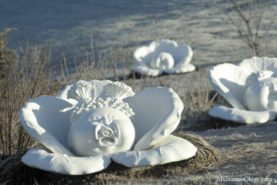 babyland general hospital