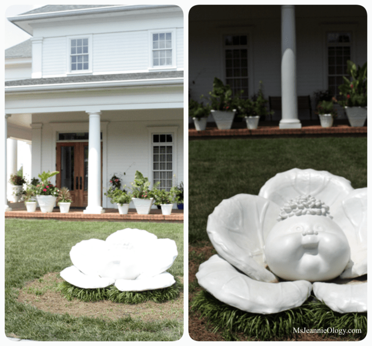 cabbage_gardencollage