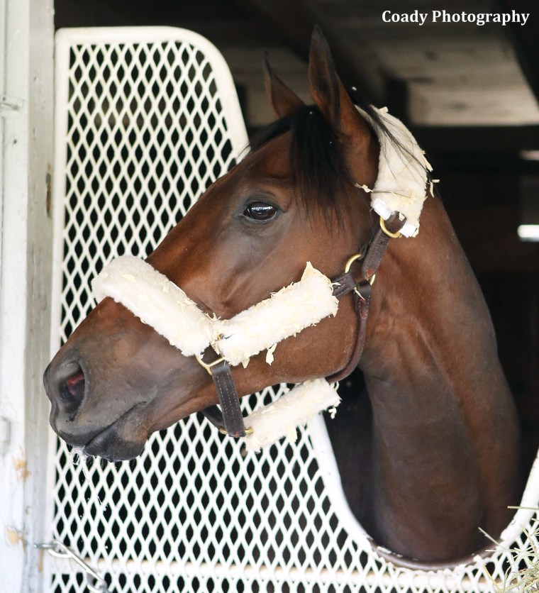 Nyquist's photo courtesy of Coady Photography