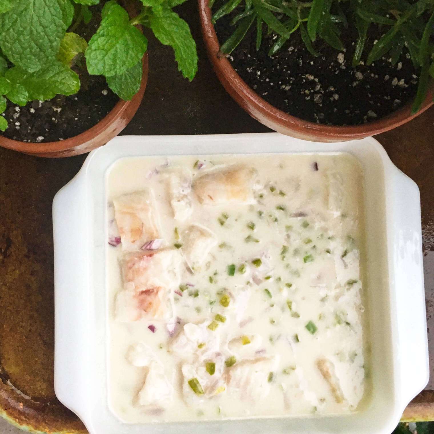 Fiji Cod Embrace Your Inner Bula: You’re On Fiji Time This Week! – In the ...