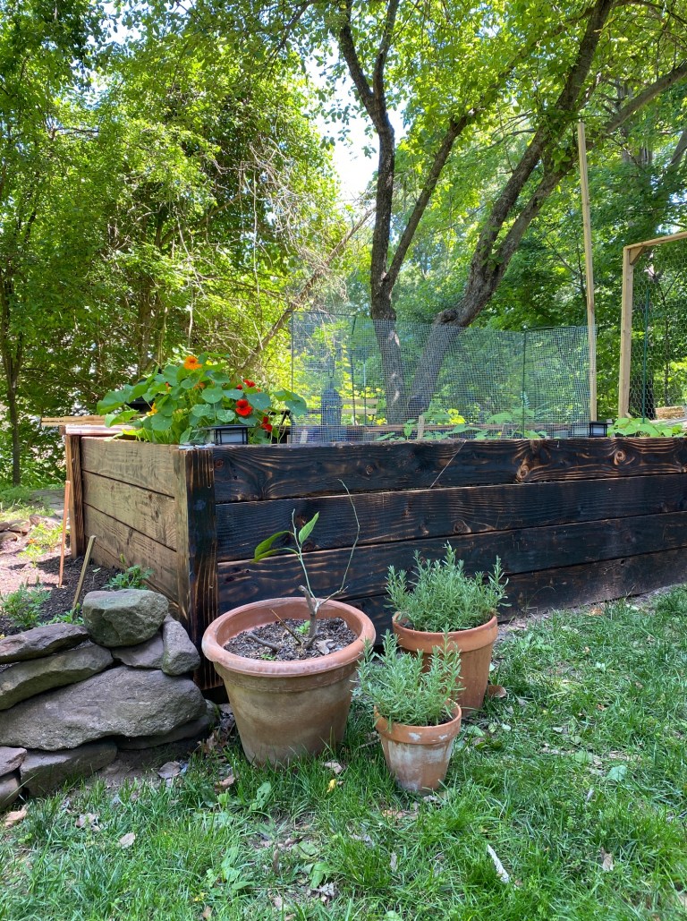 The Colonial Kitchen Garden Then and Now In the Vintage Kitchen