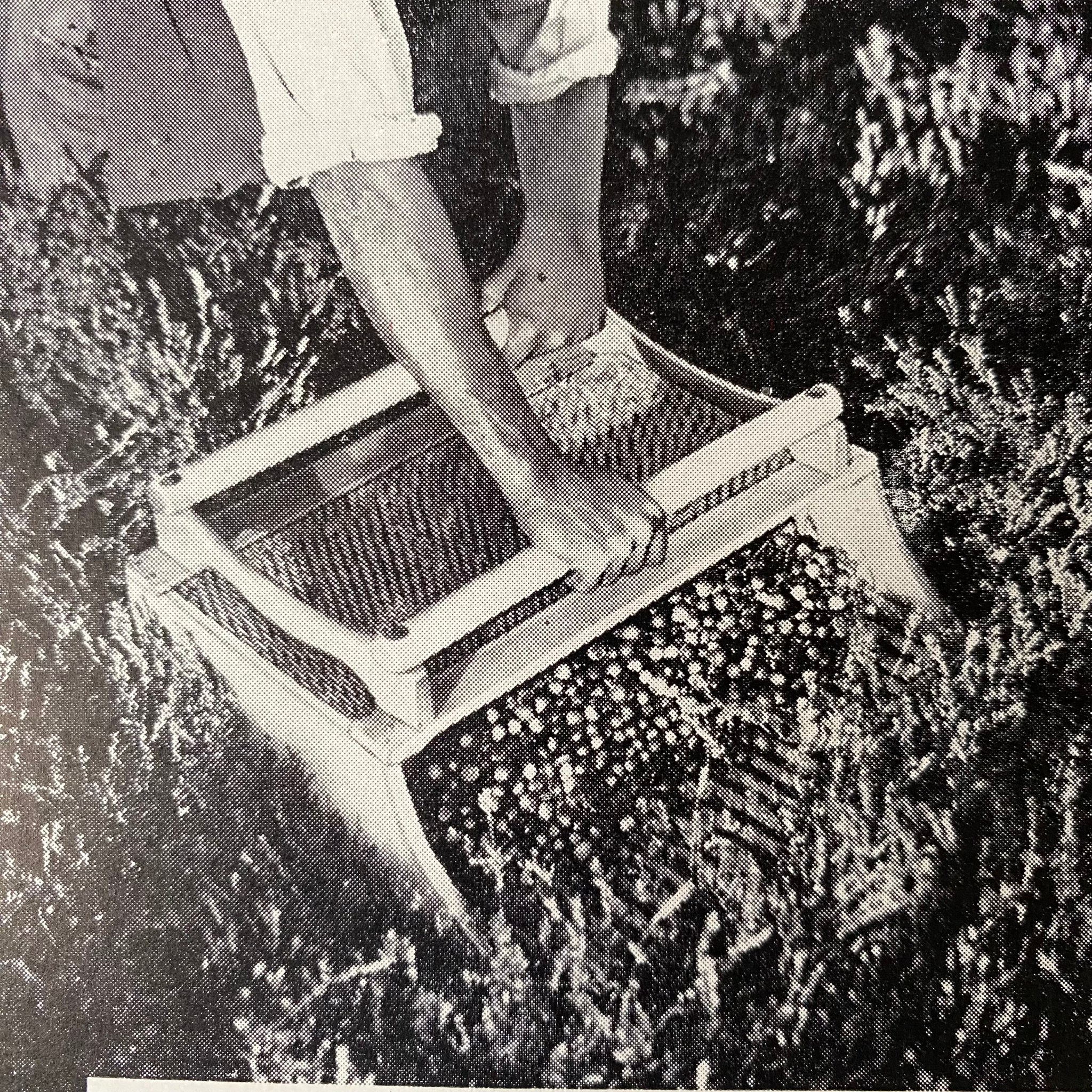 Holiday Classics: A Vintage Cranberry Relish Recipe from Historic ...